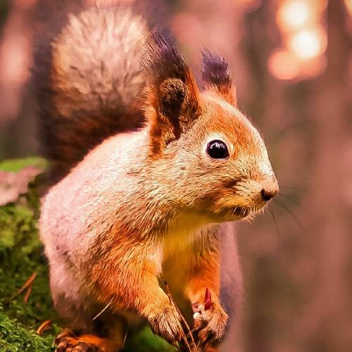  دوست داری باز واسم ناز کنی نه تو فک کردی یه بچه پاستوریزه ام